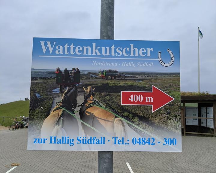 Hallig Südfall